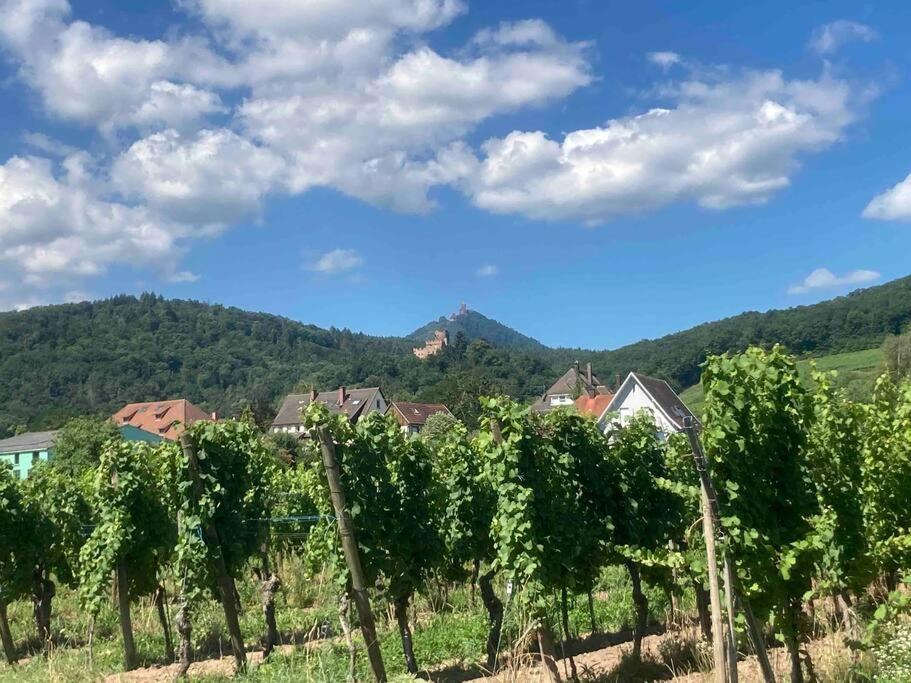 Le Belvedere Alsacien Sélestat Dış mekan fotoğraf