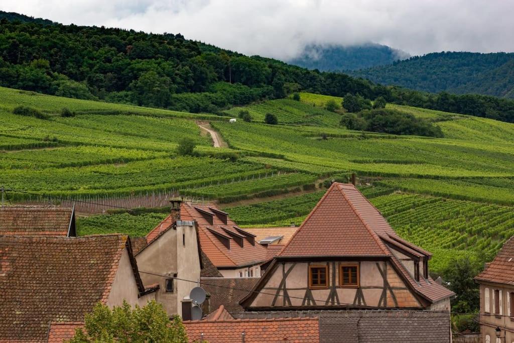 Le Belvedere Alsacien Sélestat Dış mekan fotoğraf